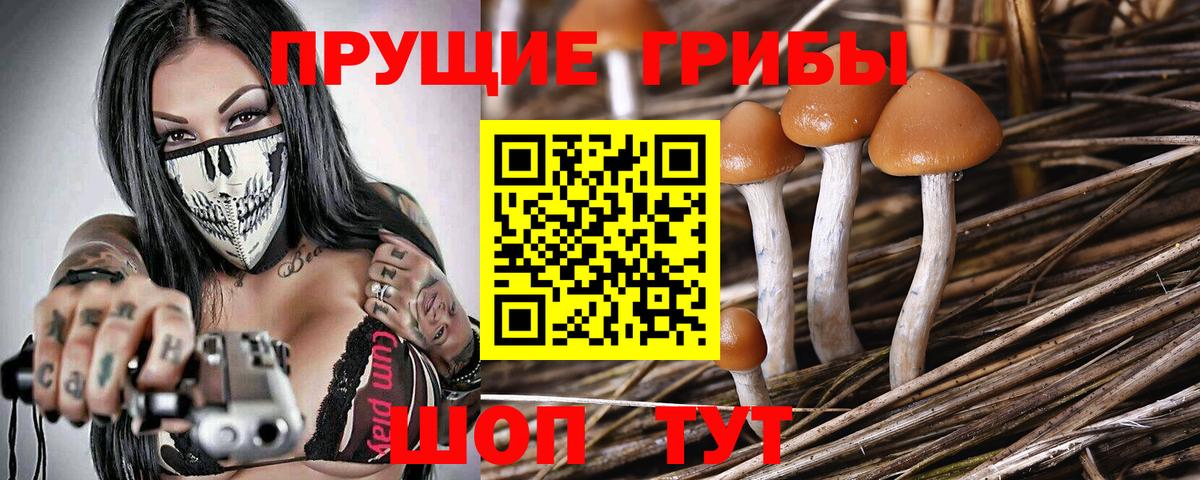 Галлюциногенные грибы мицелий Ноябрьск