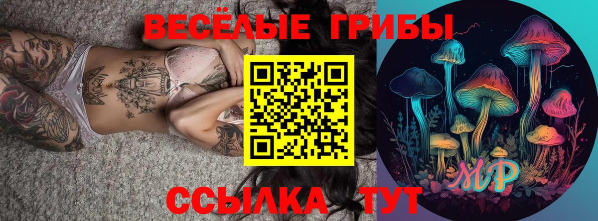 Ноябрьск  Псилоцибиновые грибы Magic Shrooms  Вход с VPN  Галлюциногенные грибы Psilocybe 